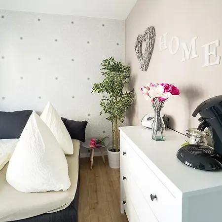 Business Freiburg Apartmán