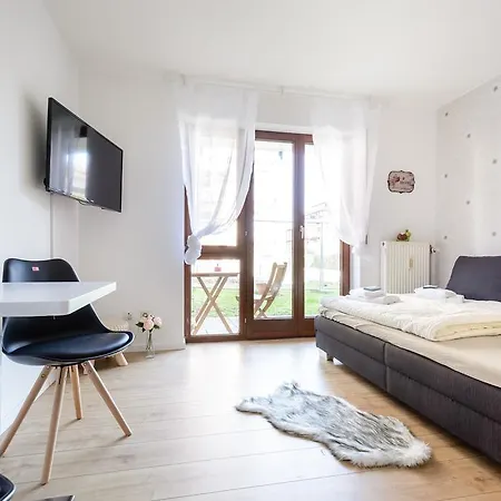 Business Freiburg Apartmán *